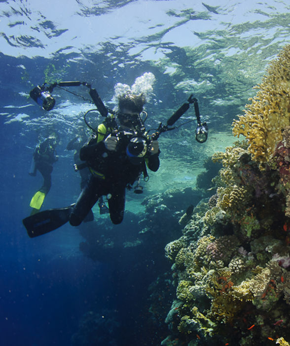 2.600+ Pesca Submarina Fotografías de stock, fotos e imágenes libres de  derechos - iStock